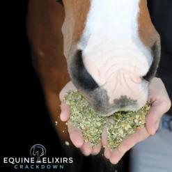 Equine Elixirs Crackdown®