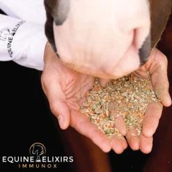 Equine Elixirs Immunox®