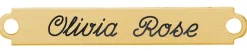 Fancy Martingale Nameplate