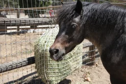 Freedom Feeder® Trailer Size