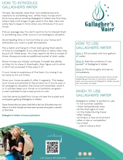 Gallagher’s Water™ All-Natural Equine Hydration Beverage, 12 Sachets