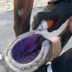 Groom’s Hand Thrush Solution®