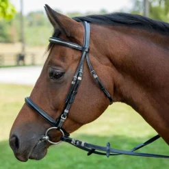 Henri de Rivel Clincher Bridle
