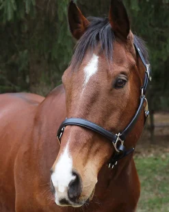 Henri de Rivel Everyday Halter