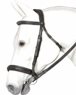 Henri de Rivel Mono Crown Bridle with Padded Wide Noseband