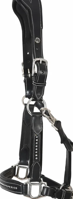 Henri de Rivel Padded Leather Crystal Halter