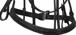 Henri de Rivel Piaffe Mono Crown Bridle with Flash Noseband & Patent Leather