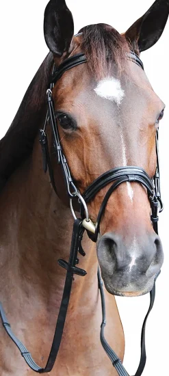 Henri de Rivel Piaffe Mono Crown Bridle with Flash Noseband & Patent Leather