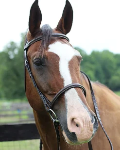 Henri de Rivel Pro Fancy Raised Bridle with Laced Reins