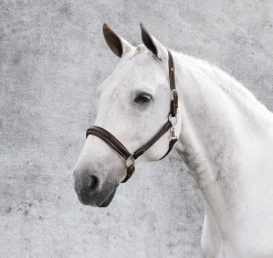 Henri de Rivel Stress Free Halter with Fancy Contrast Stitching