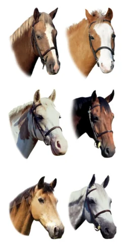Horse Stickers