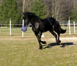 Horsemen's Pride™ Jolly Ball®