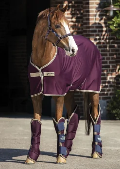 Horseware® Ireland Amigo® Jersey Cooler