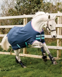 Horseware® Ireland Amigo® Pony Hero 900D Medium-Weight Turnout Blanket