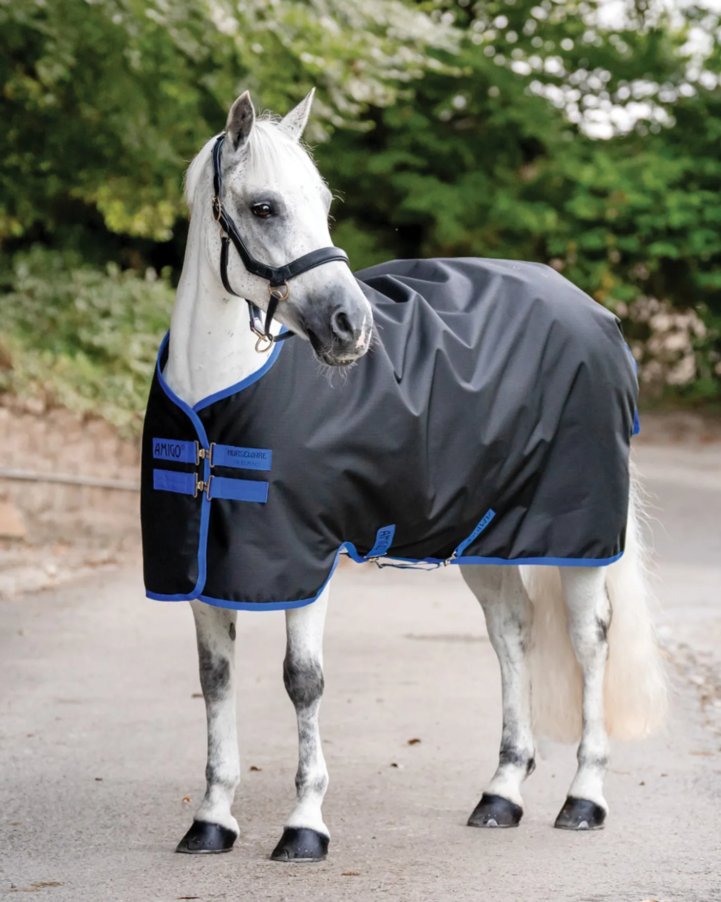 Horseware® Ireland Amigo® Ripstop 900D 200 Gram Standard Neck Pony Turnout