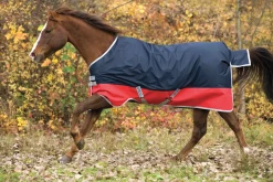 Horseware® Ireland Mio® Lite Turnout Sheet