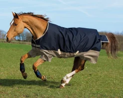 Horseware® Ireland Mio® Lite Turnout Sheet