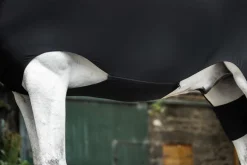 Horseware® Ireland Rambo® Slinky Full Body