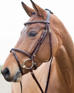 Horze Constance Padded Flash Snaffle Bridle