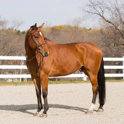 Horze Harrison Bridle