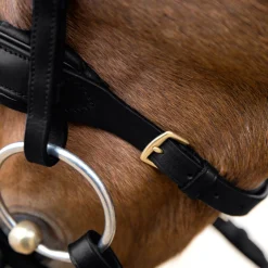 Horze Lester Snaffle Bridle