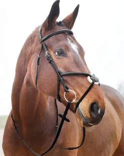 Horze Prescott Figure-8 Bridle
