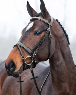 Horze Venice Snaffle Bridle
