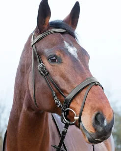 Horze Venice Snaffle Bridle