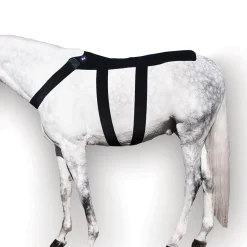 Ice Horse® Back Blanket