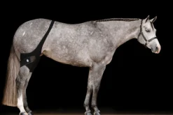 Ice Horse® Stifle Wraps