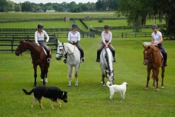 IRH® Equi-Pro Helmet with Sun Visor