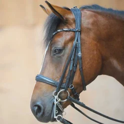 Ivonne Convertible Bridle