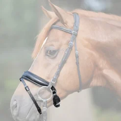 Kavalkade Extra-Wide Flash Crank Caveson