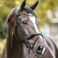 Kavalkade Ivana Snaffle Bridle