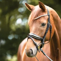 Kavalkade Princess Browband