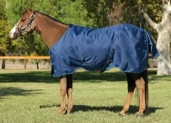 Kensington™ Pony Signature Medium Weight Turnout Blanket