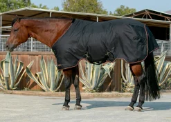 Kensington™ Pony Signature Heavyweight Turnout Blanket