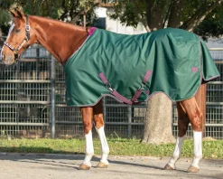Kensington™ Pony Signature Heavyweight Turnout Blanket