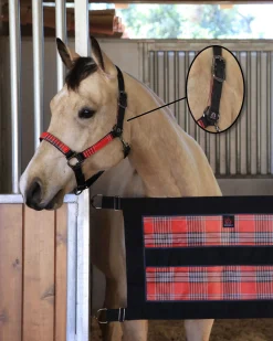 Kensington™ Premium Breakaway Halter