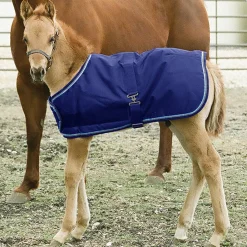 Kensington™ Signature Adjustable Small Foal Turnout Blanket