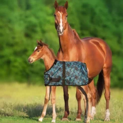 Kensington™ Signature Adjustable Small Foal Turnout Blanket