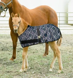 Kensington™ Signature Adjustable Small Foal Turnout Blanket