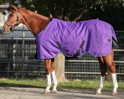 Kensington™ Signature Heavyweight Turnout Blanket