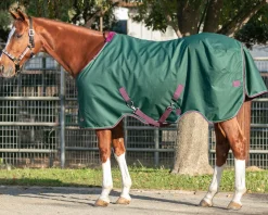 Kensington™ Signature Medium-Weight Turnout Blanket