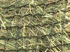 Kensington™ Slow Feed 2-Flake Hay Bag