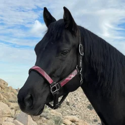 Kensington™ Premium Halter