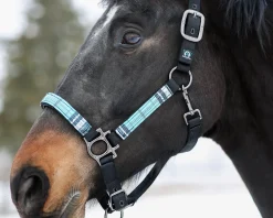 Kensington™ Premium Halter