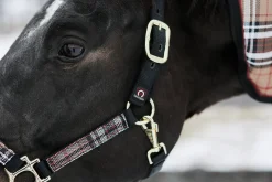 Kensington™ Premium Halter