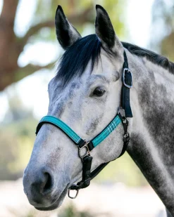 Kensington™ Premium Halter