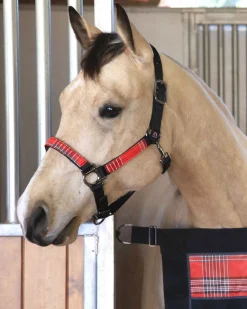 Kensington™ Premium Halter